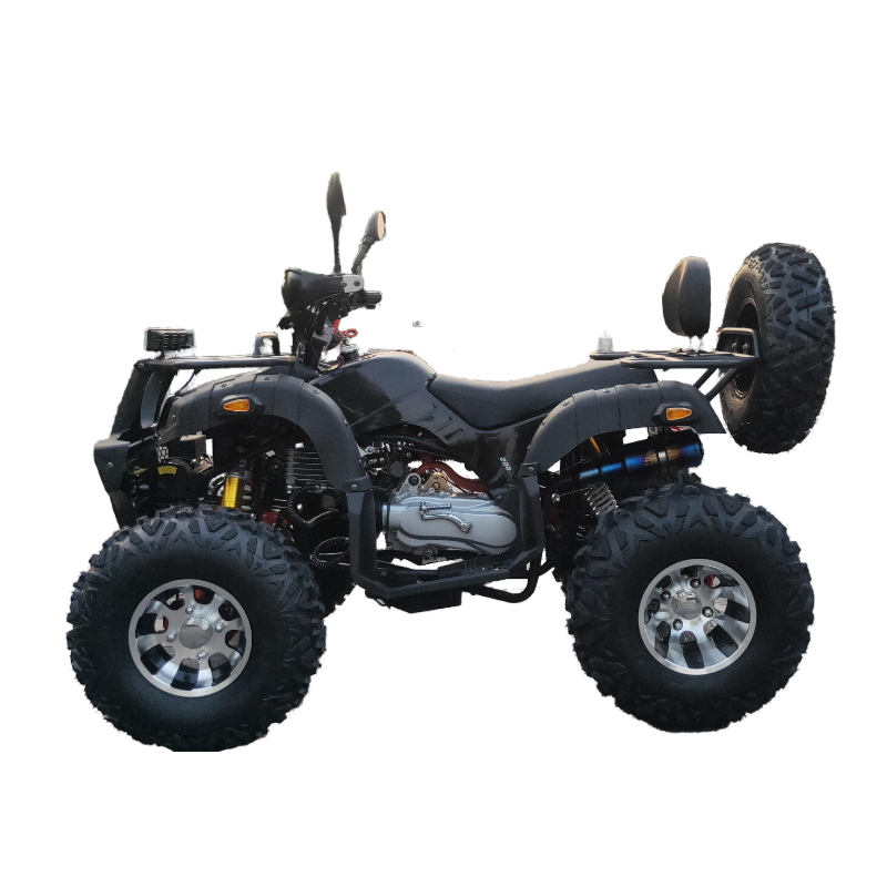 Hot sale 200cc ATV 4X2 Off road vehicle for adult made in China